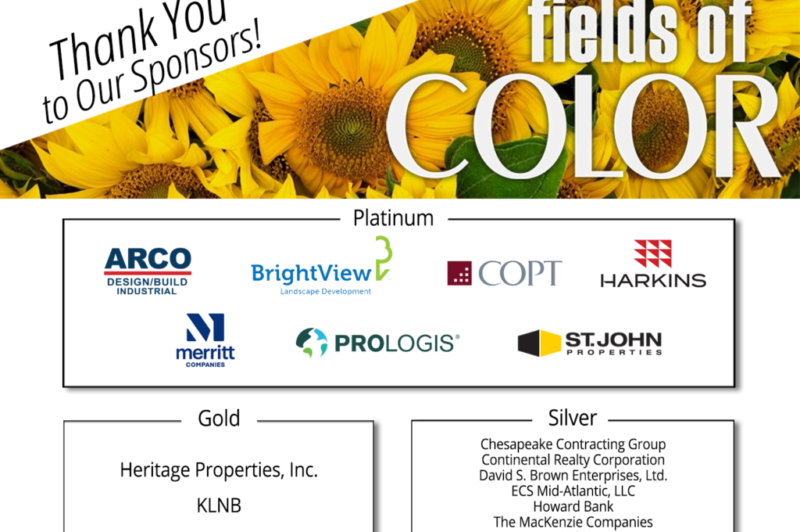 5,000 sunflowers, 360 plants, 100 volunteers and gallons of sweat at Community Service Day
