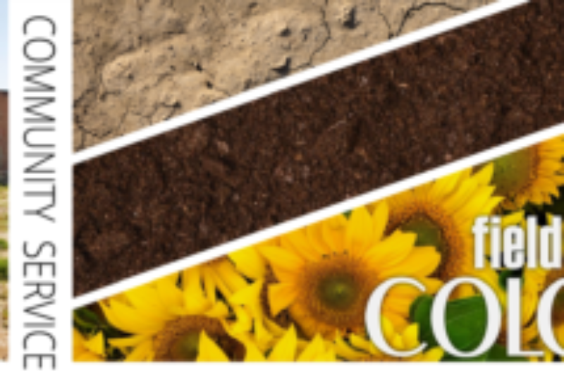 Green thumbs needed for Community Service Day