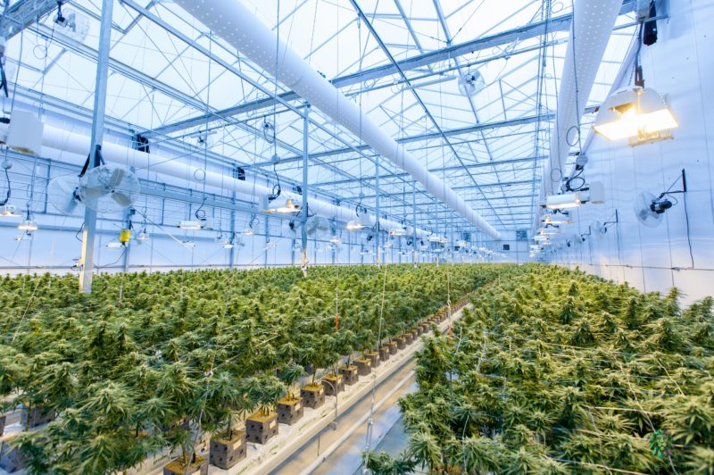 Will Maryland industrial properties go to pot?